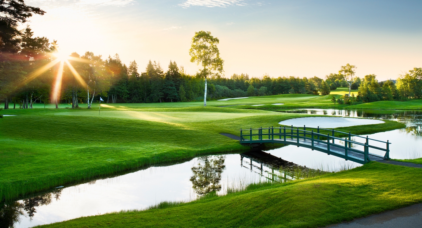 Bridge, grass, sun, pond